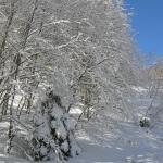 Chiarascuro Gelateria